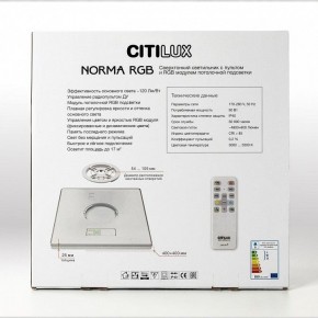 Накладной светильник Citilux Norma CL749K400 в Камышлове - kamyshlov.ok-mebel.com | фото 17