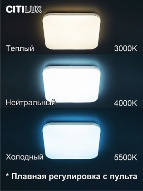 Накладной светильник Citilux Симпла CL714K480G в Камышлове - kamyshlov.ok-mebel.com | фото 4