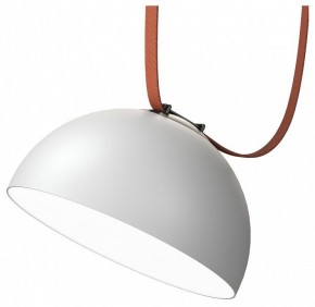 Накладной светильник Denkirs Belty Flow DK5562-WH+BK в Камышлове - kamyshlov.ok-mebel.com | фото