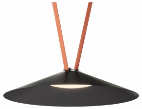 Накладной светильник Denkirs Belty Flow DK5569-BK в Камышлове - kamyshlov.ok-mebel.com | фото 2
