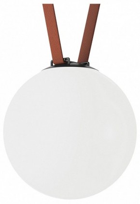 Накладной светильник Denkirs Belty Orb DK5554-BK в Камышлове - kamyshlov.ok-mebel.com | фото