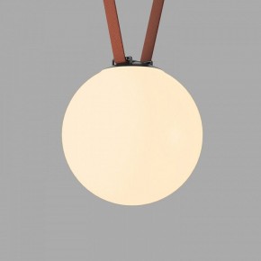 Накладной светильник Denkirs Belty Orb DK5555-BK в Камышлове - kamyshlov.ok-mebel.com | фото 2