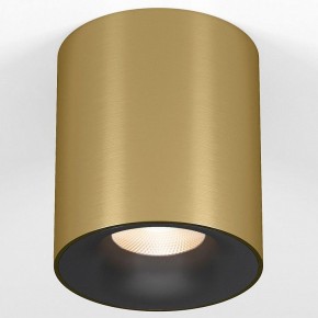 Накладной светильник Elektrostandard Primo 25116/LED в Камышлове - kamyshlov.ok-mebel.com | фото