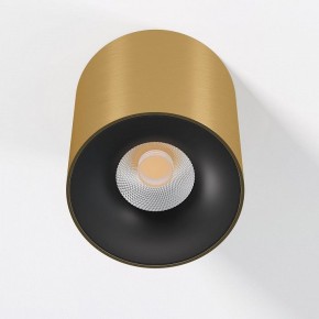 Накладной светильник Elektrostandard Primo 25116/LED в Камышлове - kamyshlov.ok-mebel.com | фото