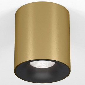 Накладной светильник Elektrostandard Primo 25116/LED в Камышлове - kamyshlov.ok-mebel.com | фото 2