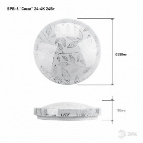 Накладной светильник Эра Классик SPB-6-24-4K (C) в Камышлове - kamyshlov.ok-mebel.com | фото 6