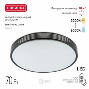Накладной светильник Эра Классик SPB-6-70-RC Liburn в Камышлове - kamyshlov.ok-mebel.com | фото 10