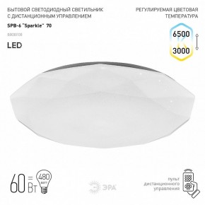 Накладной светильник Эра Классик SPB-6-70-RC Sparkle в Камышлове - kamyshlov.ok-mebel.com | фото 2