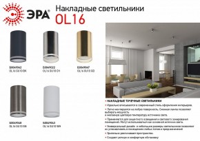 Накладной светильник Эра OL16 GU10 BK Б0049042 в Камышлове - kamyshlov.ok-mebel.com | фото 3