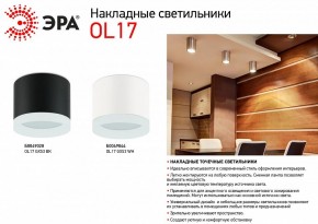 Накладной светильник Эра OL17 GX53 WH Б0049044 в Камышлове - kamyshlov.ok-mebel.com | фото 5