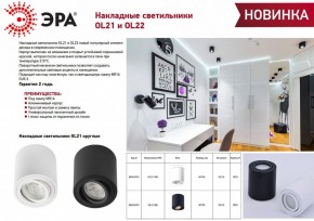 Накладной светильник Эра OL21 BK Б0054393 в Камышлове - kamyshlov.ok-mebel.com | фото 2