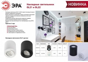 Накладной светильник Эра OL22 BK Б0054395 в Камышлове - kamyshlov.ok-mebel.com | фото 3