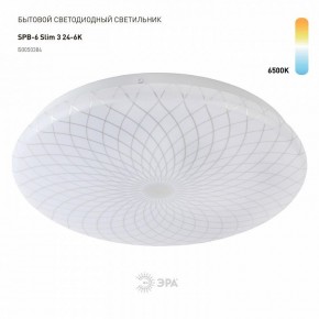 Накладной светильник Эра Slim SPB-6 Slim 3 24-6K в Камышлове - kamyshlov.ok-mebel.com | фото 2