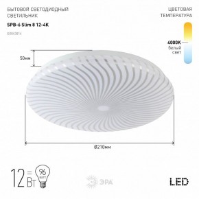 Накладной светильник Эра Slim SPB-6 Slim 8 12-4K в Камышлове - kamyshlov.ok-mebel.com | фото 2