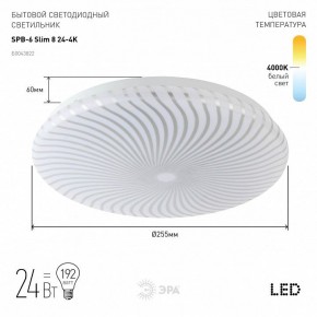 Накладной светильник Эра Slim SPB-6 Slim 8 24-4K в Камышлове - kamyshlov.ok-mebel.com | фото 2