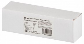 Накладной светильник Эра  TRM-S5-1-6W4K-WH в Камышлове - kamyshlov.ok-mebel.com | фото 6
