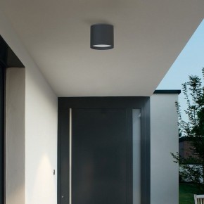 Накладной светильник Favourite Fantum 4663-1U в Камышлове - kamyshlov.ok-mebel.com | фото 3