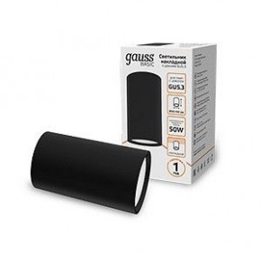 Накладной светильник Gauss Basic HD063 в Камышлове - kamyshlov.ok-mebel.com | фото 2