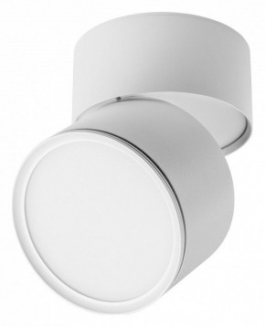 Накладной светильник Lightstar Acuto 215886 в Камышлове - kamyshlov.ok-mebel.com | фото