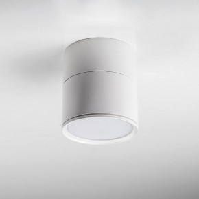 Накладной светильник Lightstar Acuto 215886 в Камышлове - kamyshlov.ok-mebel.com | фото 3