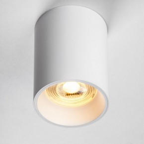 Накладной светильник Lightstar Rullo 213436 в Камышлове - kamyshlov.ok-mebel.com | фото 2