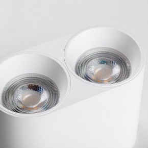 Накладной светильник Lightstar Rullo 213466 в Камышлове - kamyshlov.ok-mebel.com | фото 6