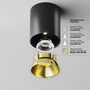 Накладной светильник Maytoni Alfa LED C064CL-12W4K-RD-B в Камышлове - kamyshlov.ok-mebel.com | фото 3