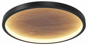 Накладной светильник Maytoni Orign MOD311CL-L40B3K в Камышлове - kamyshlov.ok-mebel.com | фото