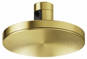 Накладной светильник Maytoni Plato TR152-1-7W4K-BS в Камышлове - kamyshlov.ok-mebel.com | фото