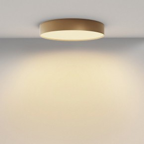 Накладной светильник Maytoni Zon C032CL-45W2.7K-RD-MG в Камышлове - kamyshlov.ok-mebel.com | фото 4