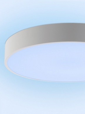 Накладной светильник Natali Kovaltseva MODERN LED LAMPS 81105/1C в Камышлове - kamyshlov.ok-mebel.com | фото 11