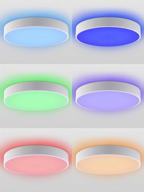 Накладной светильник Natali Kovaltseva MODERN LED LAMPS 81105/1C в Камышлове - kamyshlov.ok-mebel.com | фото 4