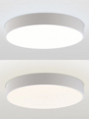 Накладной светильник Natali Kovaltseva MODERN LED LAMPS 81105/1C в Камышлове - kamyshlov.ok-mebel.com | фото 5