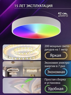Накладной светильник Natali Kovaltseva MODERN LED LAMPS 81105/1C в Камышлове - kamyshlov.ok-mebel.com | фото 6