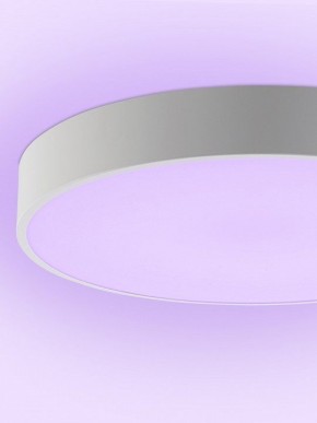 Накладной светильник Natali Kovaltseva MODERN LED LAMPS 81105/1C в Камышлове - kamyshlov.ok-mebel.com | фото 9