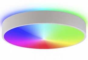 Накладной светильник Natali Kovaltseva MODERN LED LAMPS 81105/2C в Камышлове - kamyshlov.ok-mebel.com | фото