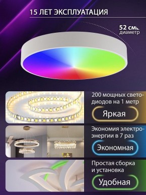 Накладной светильник Natali Kovaltseva MODERN LED LAMPS 81105/2C в Камышлове - kamyshlov.ok-mebel.com | фото 6