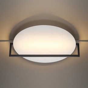 Накладной светильник Odeon Light Next 7015/20WL в Камышлове - kamyshlov.ok-mebel.com | фото 2