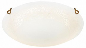 Накладной светильник Sonex Ammonite 7602/DL в Камышлове - kamyshlov.ok-mebel.com | фото 3