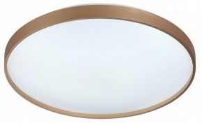 Накладной светильник Sonex Gaby 7783/EL в Камышлове - kamyshlov.ok-mebel.com | фото 4