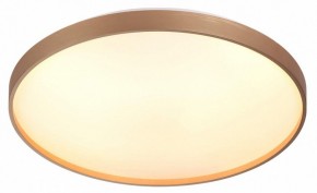 Накладной светильник Sonex Gaby 7783/EL в Камышлове - kamyshlov.ok-mebel.com | фото 5