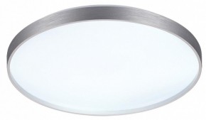 Накладной светильник Sonex Gaby 7784/EL в Камышлове - kamyshlov.ok-mebel.com | фото 4