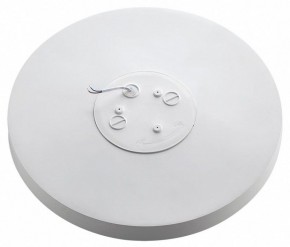 Накладной светильник Sonex Gamma 7759/36L в Камышлове - kamyshlov.ok-mebel.com | фото 3