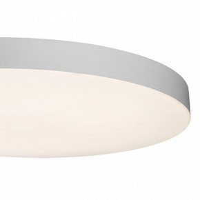 Накладной светильник Sonex Gamma 7759/36L в Камышлове - kamyshlov.ok-mebel.com | фото 7