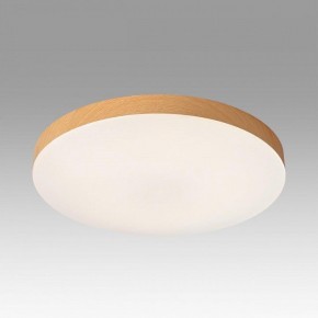 Накладной светильник Sonex Gamma 7761/50L в Камышлове - kamyshlov.ok-mebel.com | фото 3