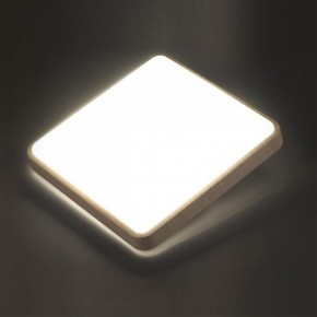 Накладной светильник Sonex Merto 7608/CL в Камышлове - kamyshlov.ok-mebel.com | фото 3