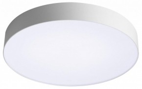 Накладной светильник Sonex Optima 7779/EL в Камышлове - kamyshlov.ok-mebel.com | фото 4
