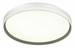 Накладной светильник Sonex Savi 7631/DL в Камышлове - kamyshlov.ok-mebel.com | фото 5