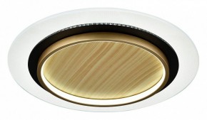 Накладной светильник Sonex Sunny 7731/80L в Камышлове - kamyshlov.ok-mebel.com | фото