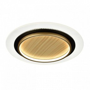 Накладной светильник Sonex Sunny 7731/80L в Камышлове - kamyshlov.ok-mebel.com | фото 4